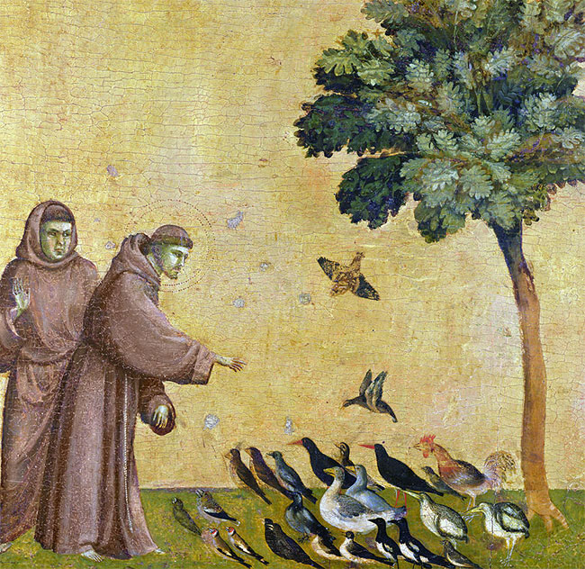 St. Francis and Creation